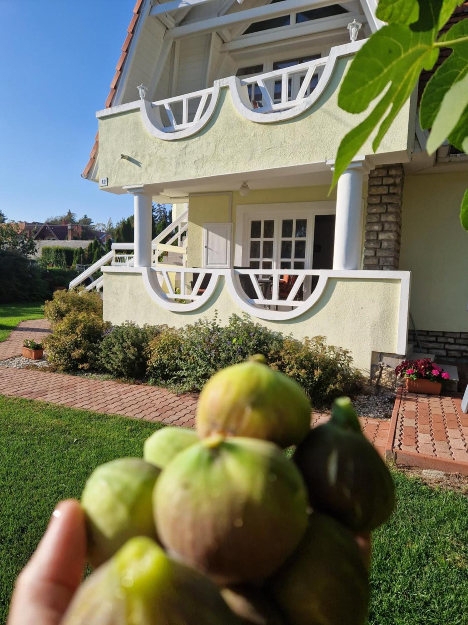 Balaton Apartman Füred Balatonfüred Exterior foto
